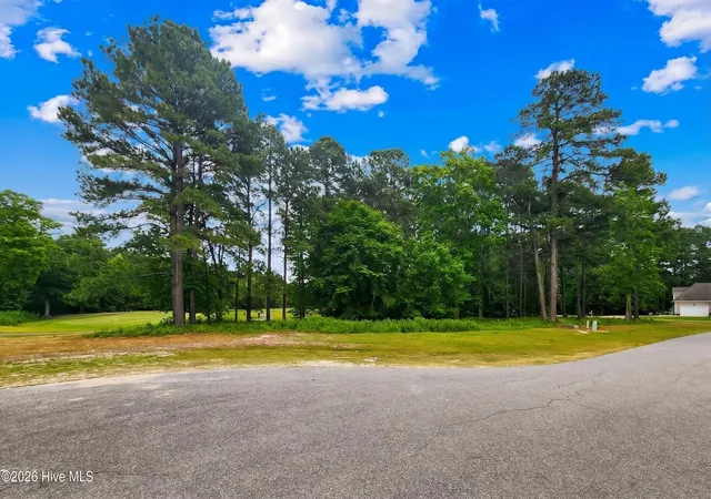1st image of 142 Scuppernong River Dr, Hertford, NC 27944 | MLS# 100572081