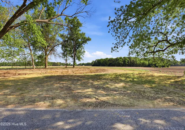 Homes for sale in Mount Olive, NC | 1142 Waller Rd, Mount Olive, NC 28365 | MLS# 100586802