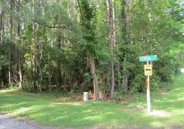2nd image of 20 Teal Rd, Merritt, NC 28556 | MLS# 100576684