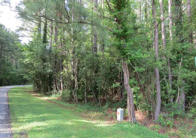 Photo 3 of Land for sale at 20 Teal Rd, Merritt, NC 28556 | MLS# 100576684 | Listing updated on 2026-08-18