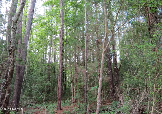 Photo 4 of Land for sale at 20 Teal Rd, Merritt, NC 28556 | MLS# 100576684 | Listing updated on 2026-08-18