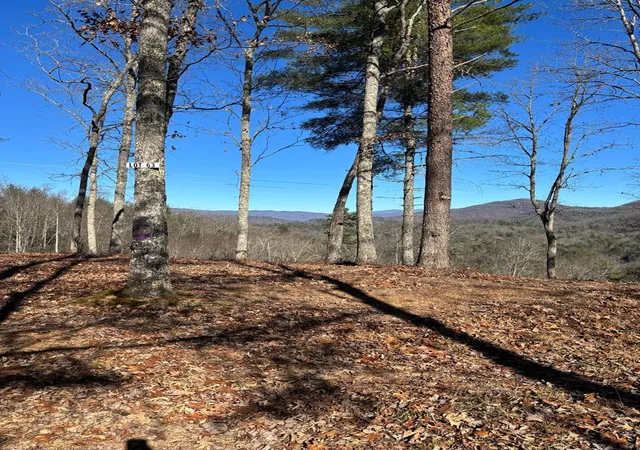 Photo 1 of Land for sale at Lot 63 Thundering Hl, Murphy, NC 28906 | MLS# 98509195 | Listing updated on 2026-07-21