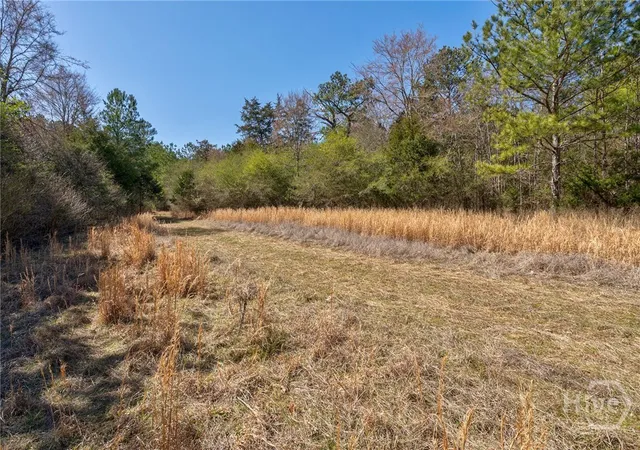 5th image of 304 Kent Rock Rd #Tract 3, Loganville, GA 30052 | MLS# CL346496