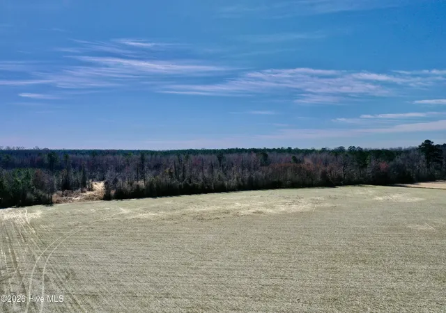 Homes for sale in Cerro Gordo, NC | 0 Near 2034 Haynes Len, Cerro Gordo, NC 28430 | MLS# 100556720