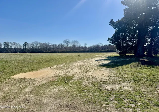Homes for sale in Cerro Gordo, NC | 0 Near 2034 Haynes Len, Cerro Gordo, NC 28430 | MLS# 100556720