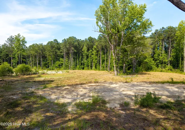 Homes for sale in Shawboro, NC | 100 Cruella Ln, Shawboro, NC 27973 | MLS# 100584221