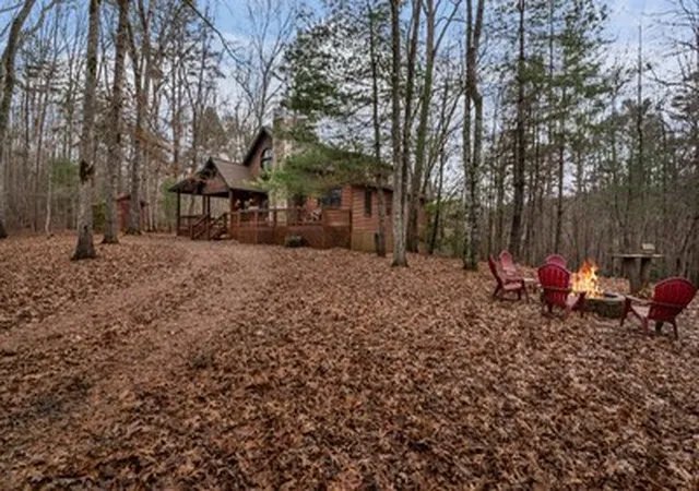 Homes for sale in Mineral Bluff, GA | 162 Little Falls Dr, Mineral Bluff, GA 30559 | MLS# 100586091