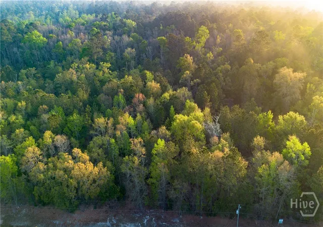 Photo 2 of Land for sale at 4 Little Mccall Rd, Rincon, GA 31326 | MLS# SA352372 | Listing updated on 2026-07-30