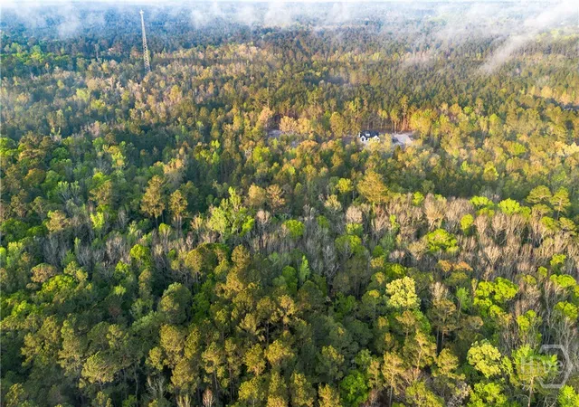 Photo 3 of Land for sale at 4 Little Mccall Rd, Rincon, GA 31326 | MLS# SA352372 | Listing updated on 2026-07-30