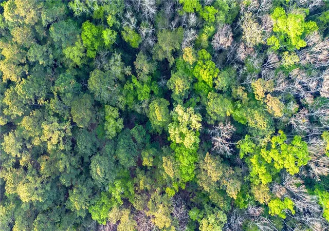 Photo 4 of Land for sale at 4 Little Mccall Rd, Rincon, GA 31326 | MLS# SA352372 | Listing updated on 2026-07-30