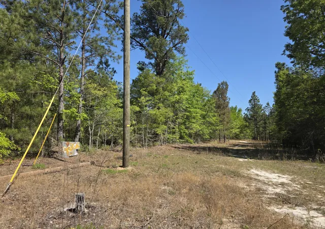 Homes for sale in Williston, SC | Lot 1 Briarwood Dr, Williston, SC 29853 | MLS# 98256081