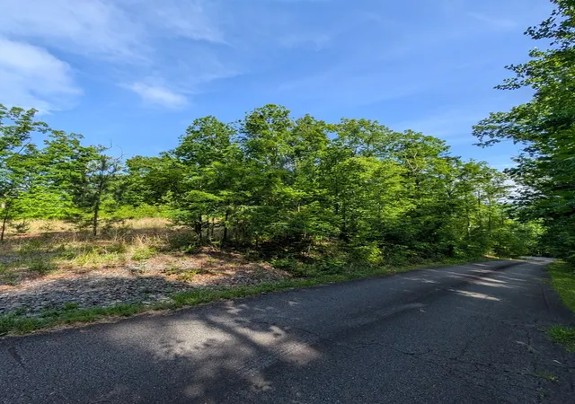 Homes for sale in Hayesville, NC | Tr 2 Flacon, Hayesville, NC 28904 | MLS# 98544677