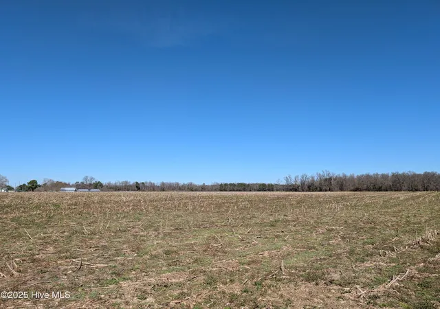Homes for sale in Beulaville, NC | 000 Cedar Fork Rd, Beulaville, NC 28518 | MLS# 100489462
