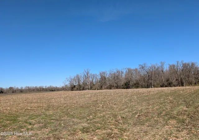 Homes for sale in Beulaville, NC | 000 Cedar Fork Rd, Beulaville, NC 28518 | MLS# 100489462