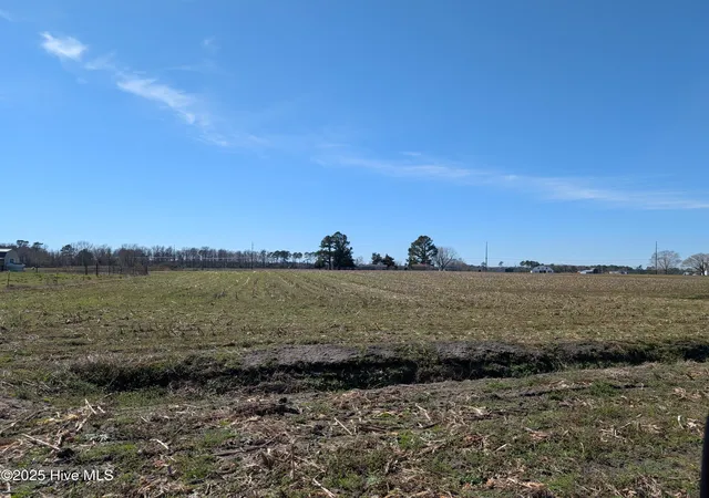 Homes for sale in Beulaville, NC | 000 Cedar Fork Rd, Beulaville, NC 28518 | MLS# 100489462