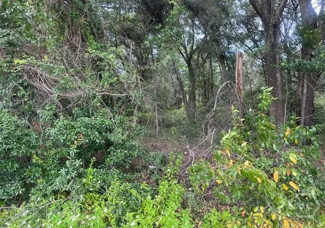Photo 3 of Land for sale at 1236 Seaside Road, Saint Helena Island, SC 29920 | MLS# SA340006 | Listing updated on 2026-08-27
