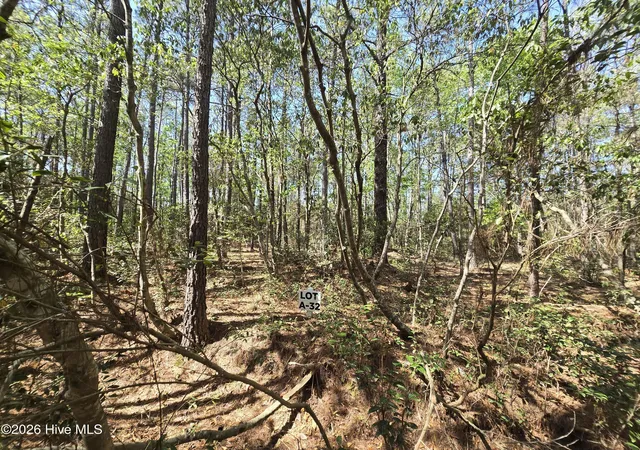 3rd image of Lot A-32 Renee Dr, Hampstead, NC 28443 | MLS# 100567150
