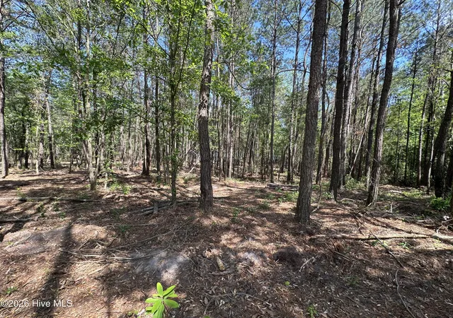 Photo 2 of Land for sale at 28 Hillside Ln, Clinton, NC 28328 | MLS# 100583818 | Listing updated on 2026-08-18