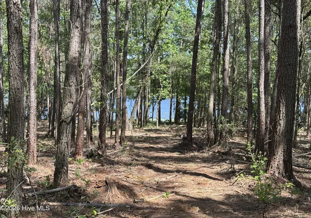 Photo 3 of Land for sale at 28 Hillside Ln, Clinton, NC 28328 | MLS# 100583818 | Listing updated on 2026-08-18