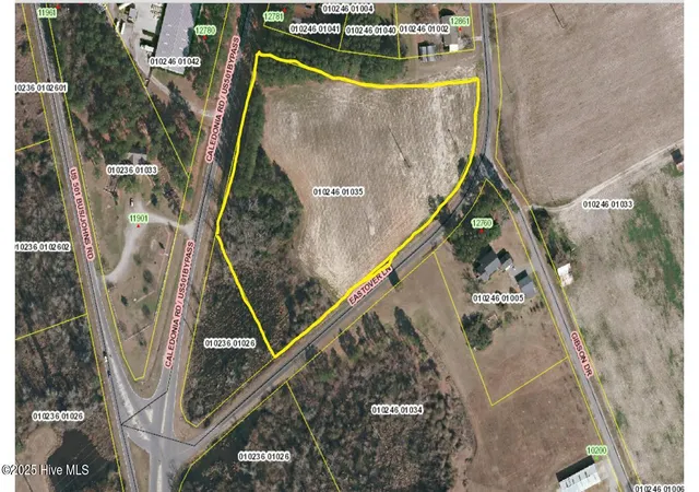 Photo 1 of Land for sale at Tbd S Caledonia Rd, Laurinburg, NC 28352 | MLS# 100592234 | Listing updated on 2026-08-18