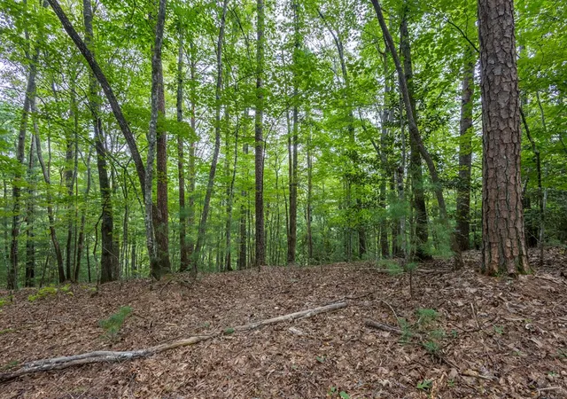 Photo 4 of Land for sale at Lot 26 Persimmon Rd, Murphy, NC 28906 | MLS# 98525413 | Listing updated on 2026-07-29