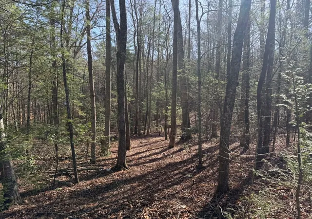 Photo 3 of Land for sale at 1156 Liberty Rd, Murphy, NC 28906 | MLS# 98525288 | Listing updated on 2026-07-31