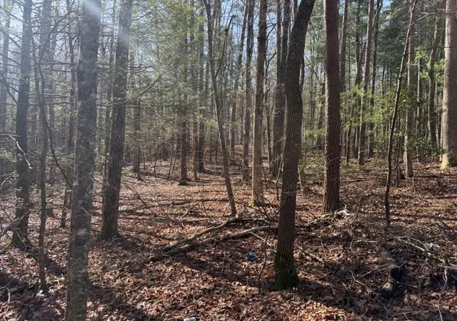 Photo 4 of Land for sale at 1156 Liberty Rd, Murphy, NC 28906 | MLS# 98525288 | Listing updated on 2026-07-31