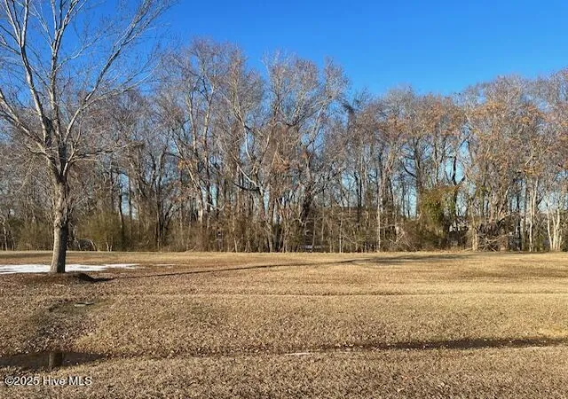 1st image of 159 Highland Pony Dr, Hertford, NC 27944 | MLS# 100575534