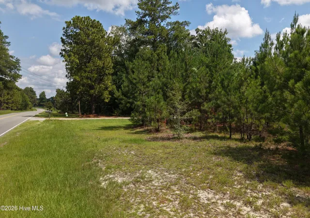 Photo 3 of Land for sale at 01581 Doubs Chapel Rd, West End, NC 27376 | MLS# 100591810 | Listing updated on 2026-08-18