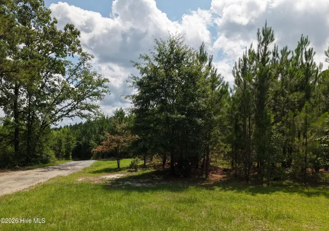 Photo 4 of Land for sale at 01581 Doubs Chapel Rd, West End, NC 27376 | MLS# 100591810 | Listing updated on 2026-08-18