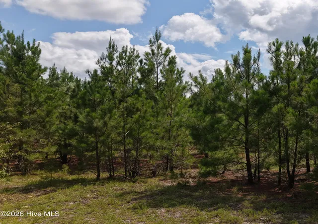 Photo 5 of Land for sale at 01581 Doubs Chapel Rd, West End, NC 27376 | MLS# 100591810 | Listing updated on 2026-08-18