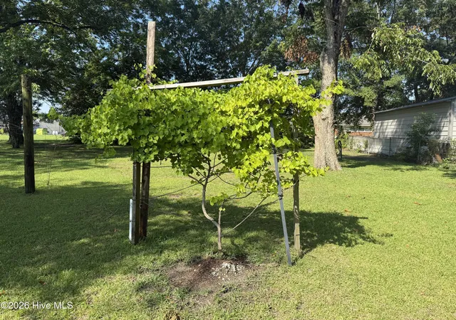 Photo 4 of Single family home for sale at 206 Sunset Dr, Williamston, NC 27892 | MLS# 100587879 | Listing updated on 2026-10-06