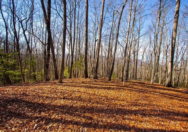 12th image of Tbd W Hills, Murphy, NC 28906 | MLS# 98500844