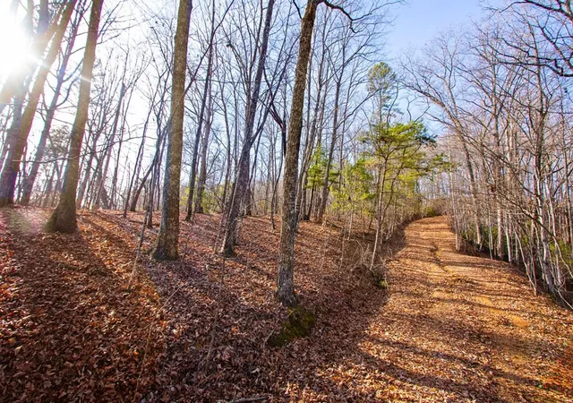 2nd image of Tbd W Hills, Murphy, NC 28906 | MLS# 98500844