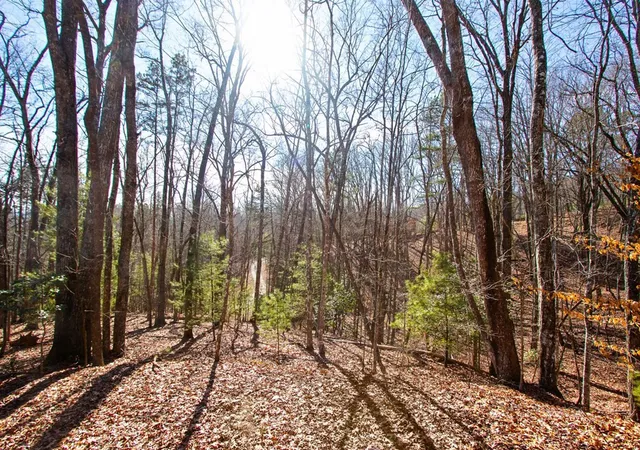 Photo 3 of Land for sale at Tbd W Hills, Murphy, NC 28906 | MLS# 98500844 | Listing updated on 2026-06-01