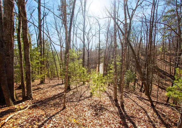 Photo 4 of Land for sale at Tbd W Hills, Murphy, NC 28906 | MLS# 98500844 | Listing updated on 2026-06-01