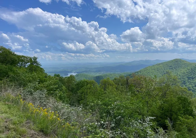 Photo 4 of Land for sale at 0 Burrell Mountain Rd, Murphy, NC 28906 | MLS# 98500302 | Listing updated on 2026-06-16