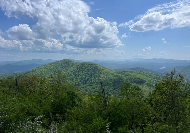 Photo 5 of Land for sale at 0 Burrell Mountain Rd, Murphy, NC 28906 | MLS# 98500302 | Listing updated on 2026-06-16
