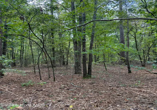 Photo 4 of Land for sale at 122 N State Ln, Rockingham, NC 28379 | MLS# 100539355 | Listing updated on 2026-08-17