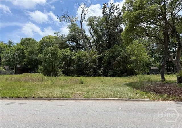 Homes for sale in Savannah, GA | 1211 E 60th St, Savannah, GA 31404 | MLS# SA356981
