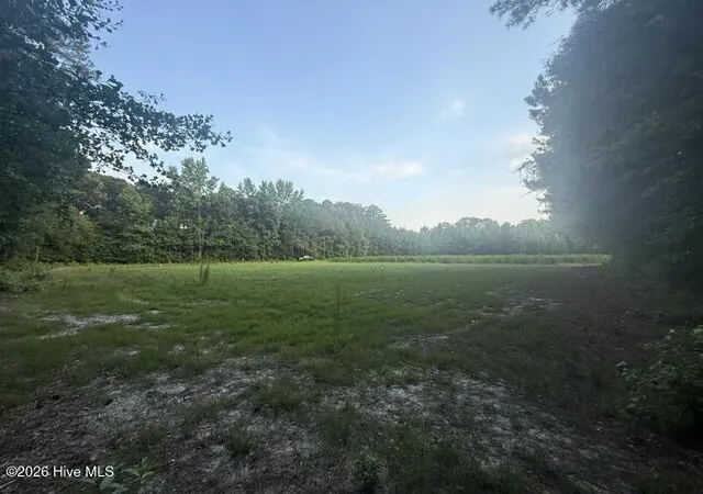 Photo 2 of Land for sale at 1005 Regal Rd, Goldsboro, NC 27534 | MLS# 100584978 | Listing updated on 2026-08-25