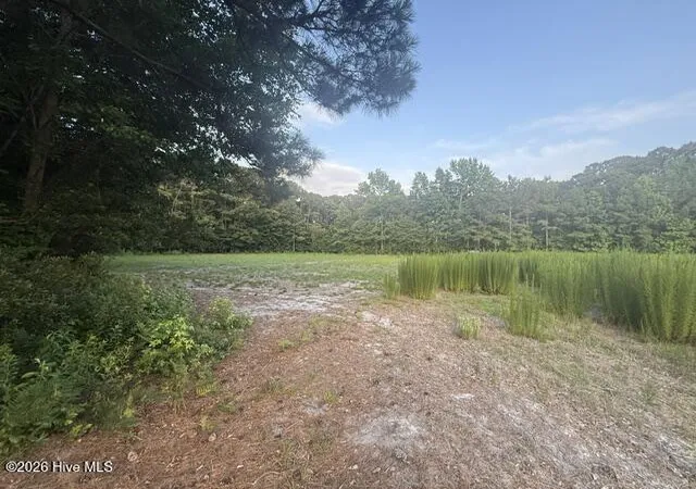 Photo 3 of Land for sale at 1005 Regal Rd, Goldsboro, NC 27534 | MLS# 100584978 | Listing updated on 2026-08-25