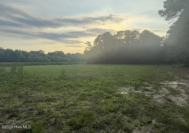 Photo 3 of Land for sale at 1005 Regal Rd, Goldsboro, NC 27534 | MLS# 100584978 | Listing updated on 2026-08-25