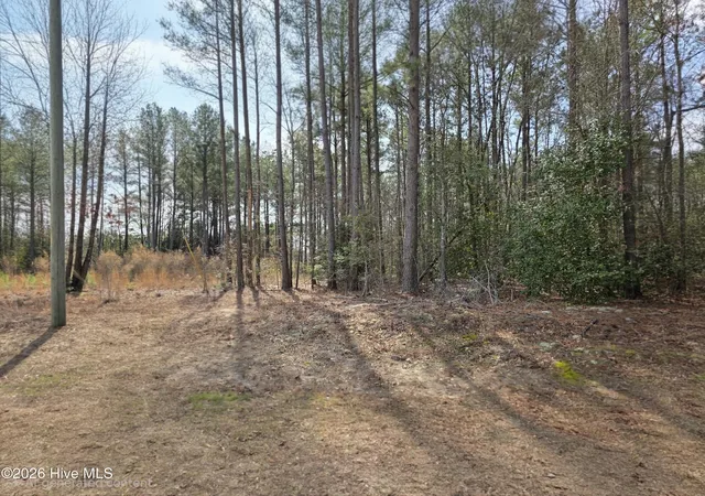 Land for sale at 275 Raynor Sands Dr, Dunn, NC 28334 | MLS# 100558910
