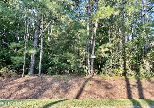 Land for sale at Tbd Stokes Rd, Rockingham, NC 28379 | MLS# 100599586