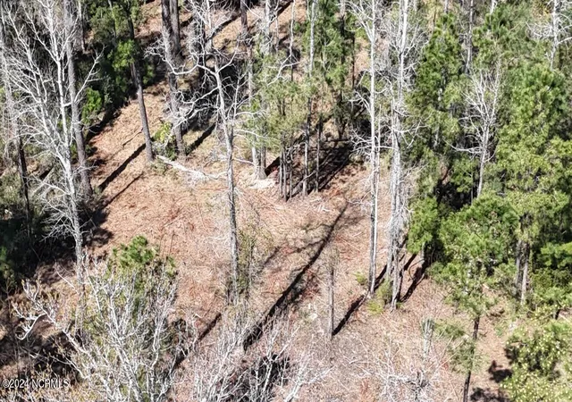 Photo 3 of Land for sale at 107 Pin Oak Ct, Beaufort, NC 28516 | MLS# 100436487 | Listing updated on 2026-03-30
