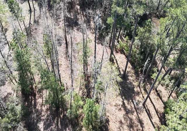 Photo 3 of Land for sale at 107 Pin Oak Ct, Beaufort, NC 28516 | MLS# 100436487 | Listing updated on 2026-03-30