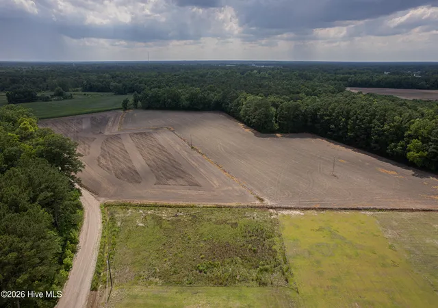 Photo 3 of Land for sale at 1770 Old Chinquapin Rd, Chinquapin, NC 28521 | MLS# 100590493 | Listing updated on 2026-08-18
