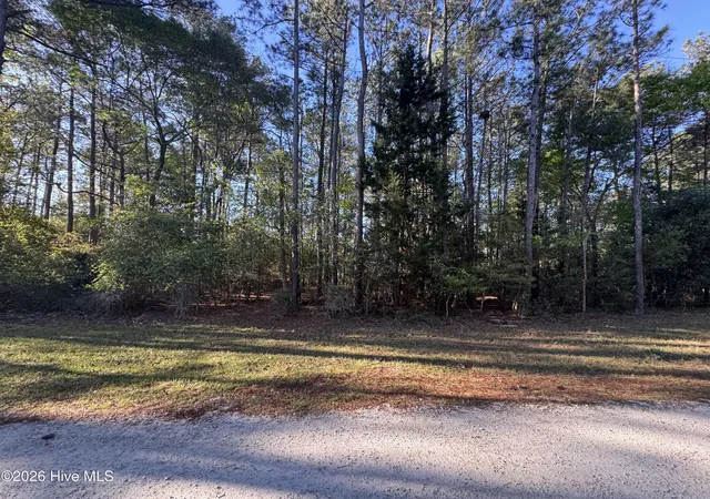 Photo 4 of Land for sale at 43 Pond View Cir E, Hampstead, NC 28443 | MLS# 100566451 | Listing updated on 2026-09-03