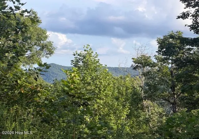 Photo 1 of Land for sale at 13 Little Choga Rd, Topton, NC 28781 | MLS# 100595519 | Listing updated on 2026-08-11